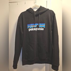 Patagonia Hoodie